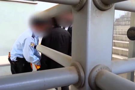 Ko gre cela pivovarna na ogled tekme